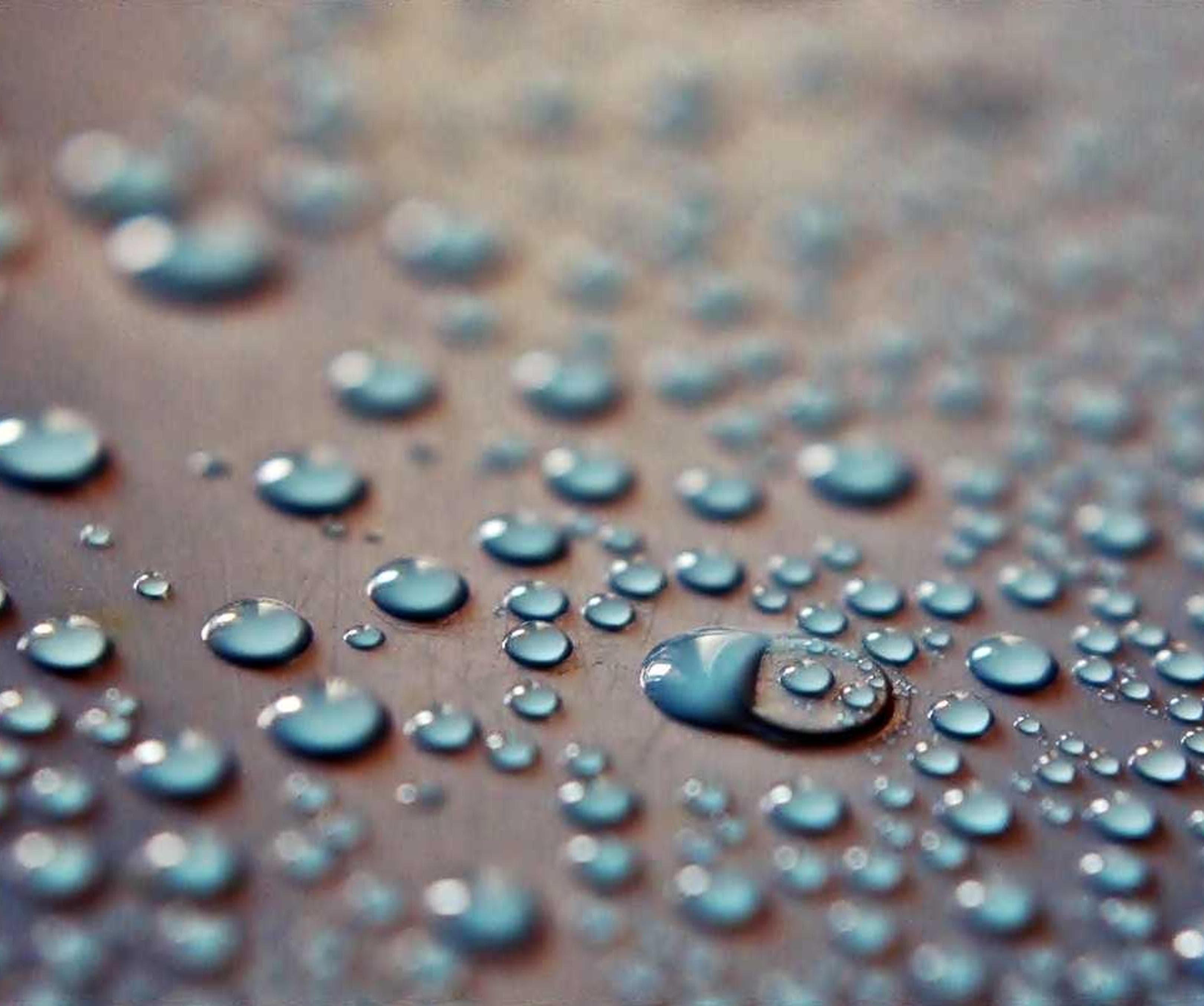 Ergonomic Concrete Fish